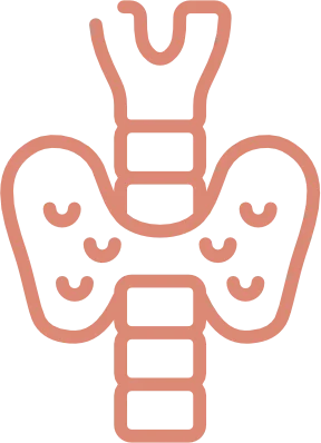 Icon- Tireoide -Endocrinologista em Vitória - Espírito Santo - ES