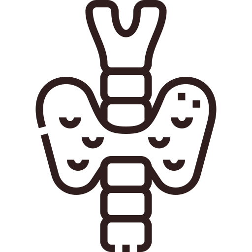 Icon- Tireoide -Endocrinologista em Vit&oacute;ria - Esp&iacute;rito Santo - ES