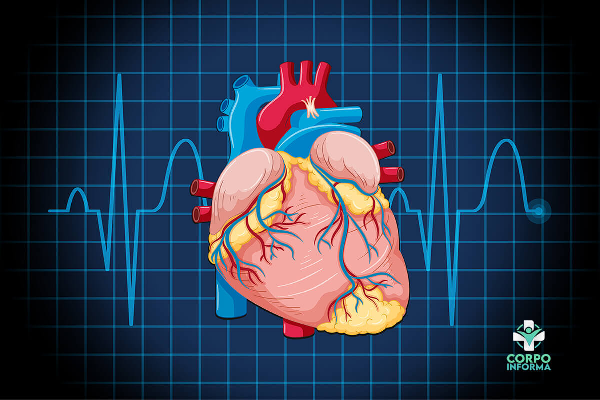 Arritmia Cardíaca - o que é, tipos, sintomas, tratamento