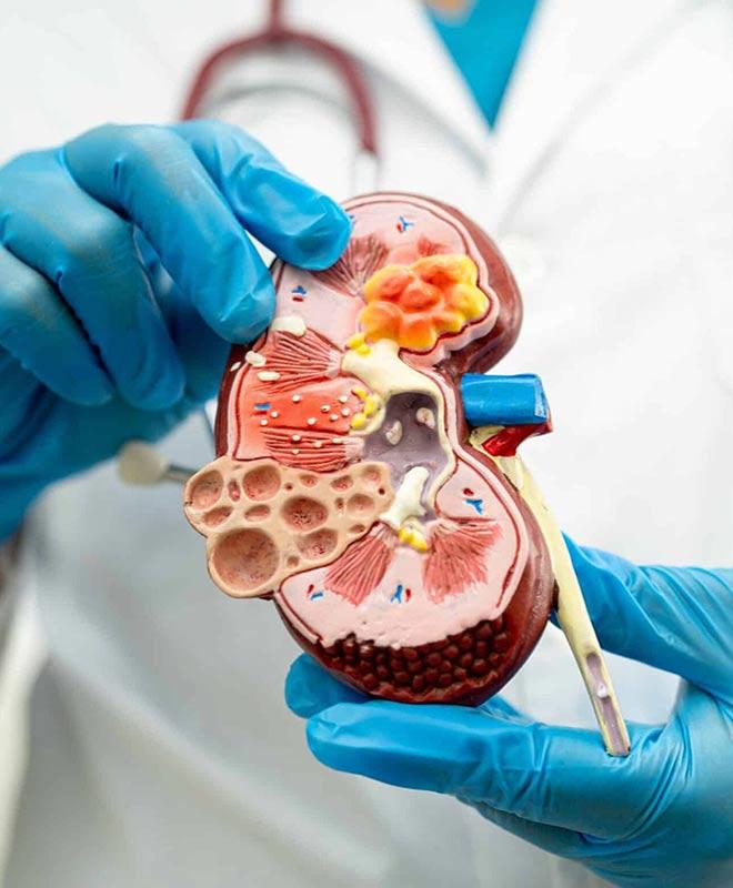 Nefrologista em Vitória - Espírito Santo - ES