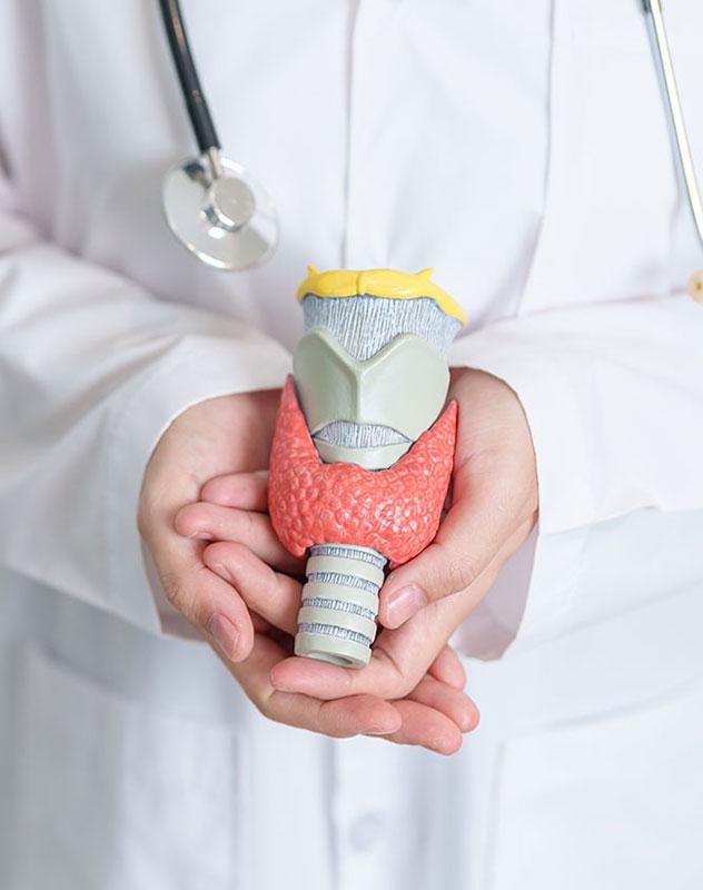 Consulta com Endocrinologista em Vitória - Espírito Santo - ES